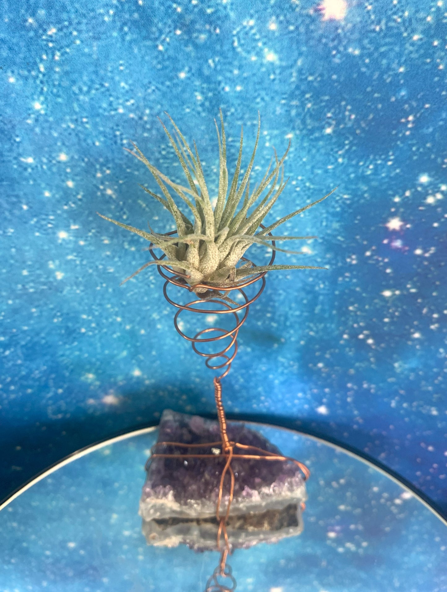 Amethyst Air Plant Holder