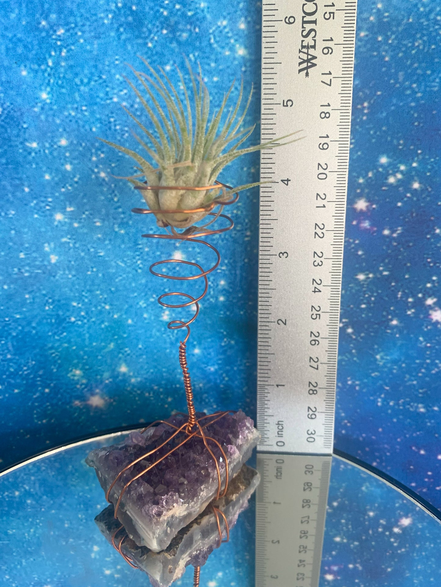 Amethyst Air Plant Holder