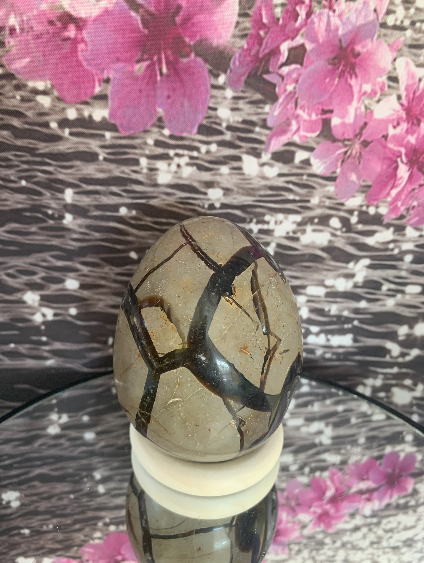 Septarian Dragon Egg