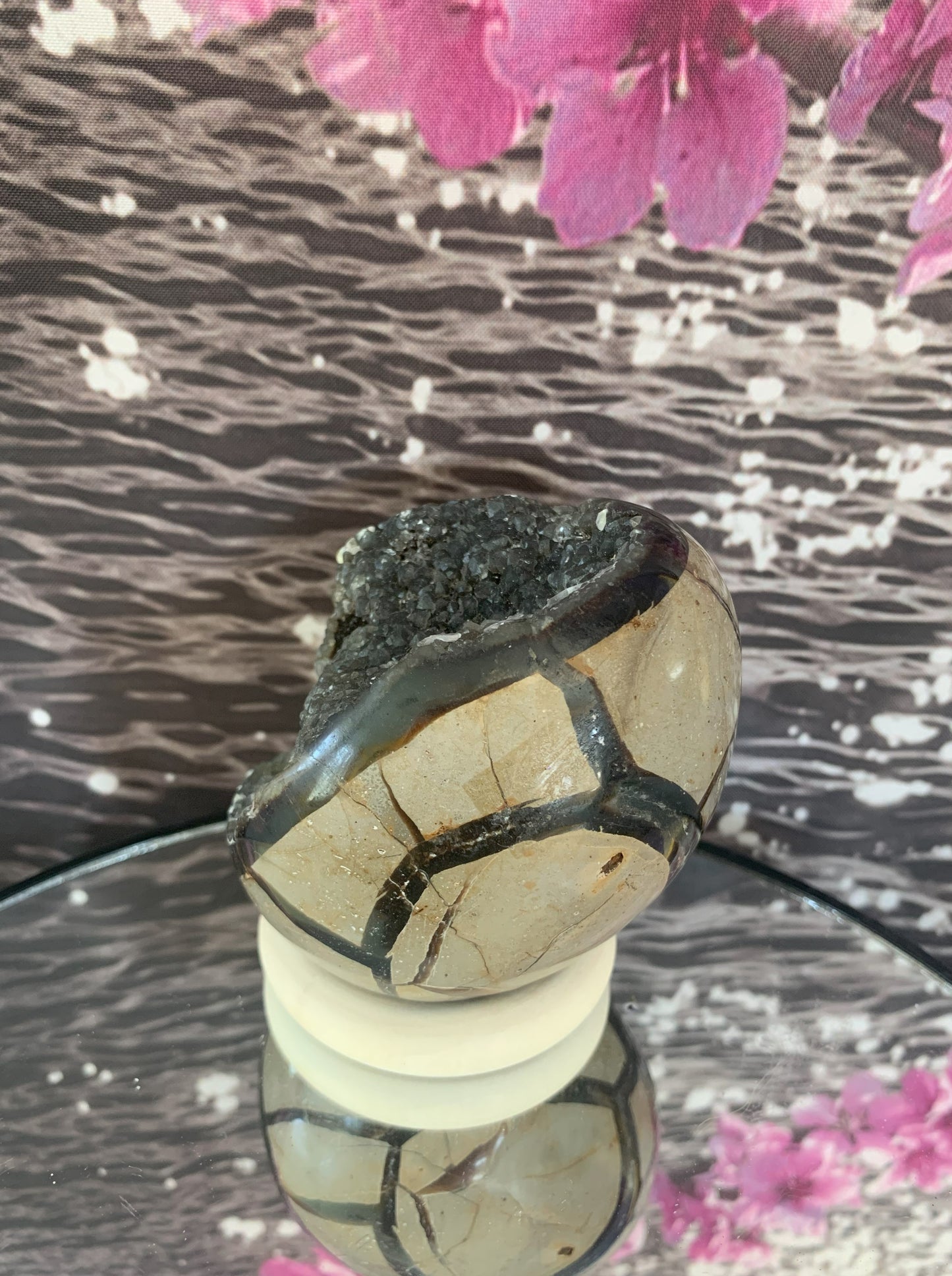 Septarian Dragon Egg