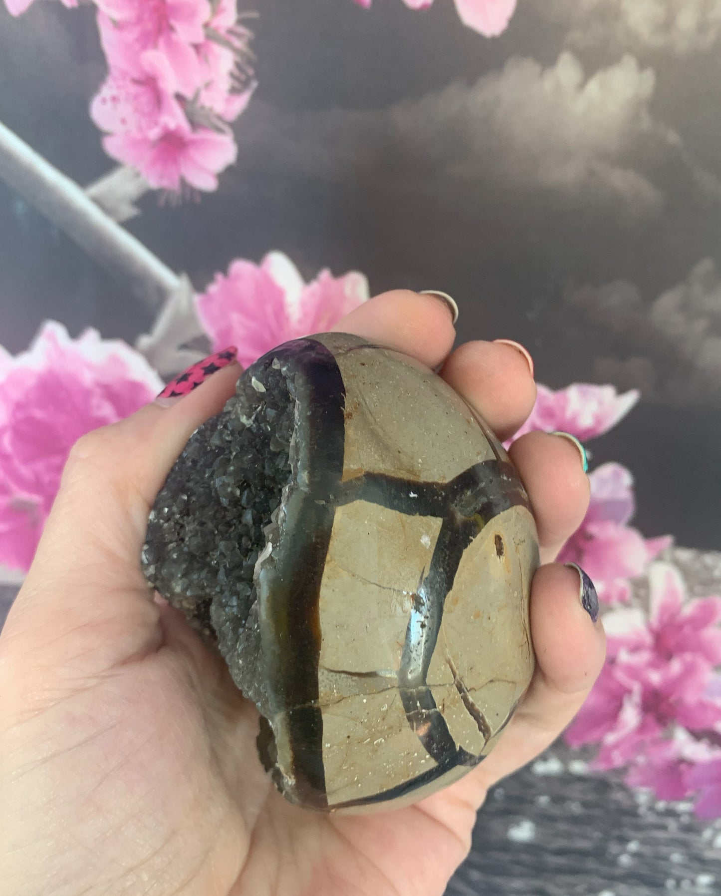 Septarian Dragon Egg