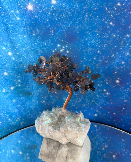 Trees with Angel Aura Base