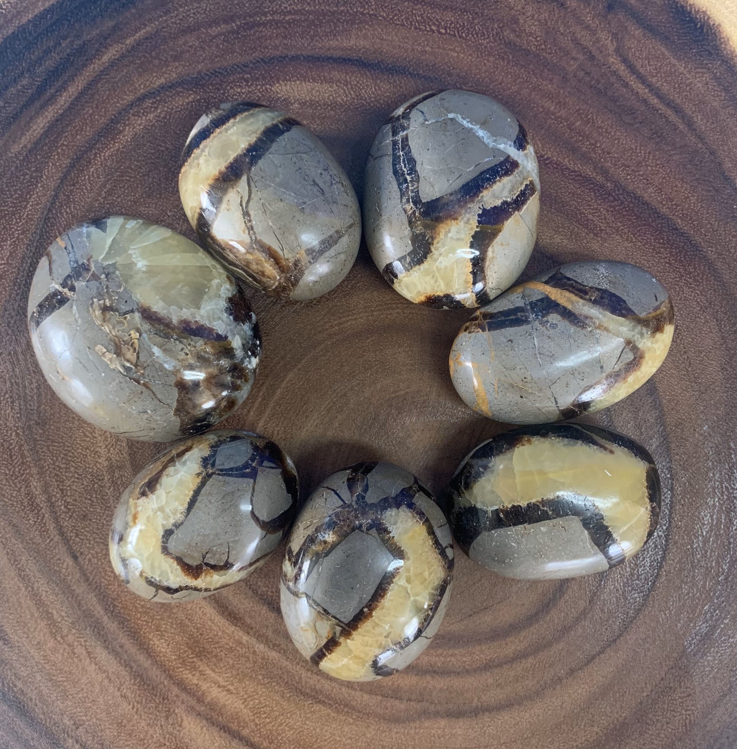 Septarian Palm Stones