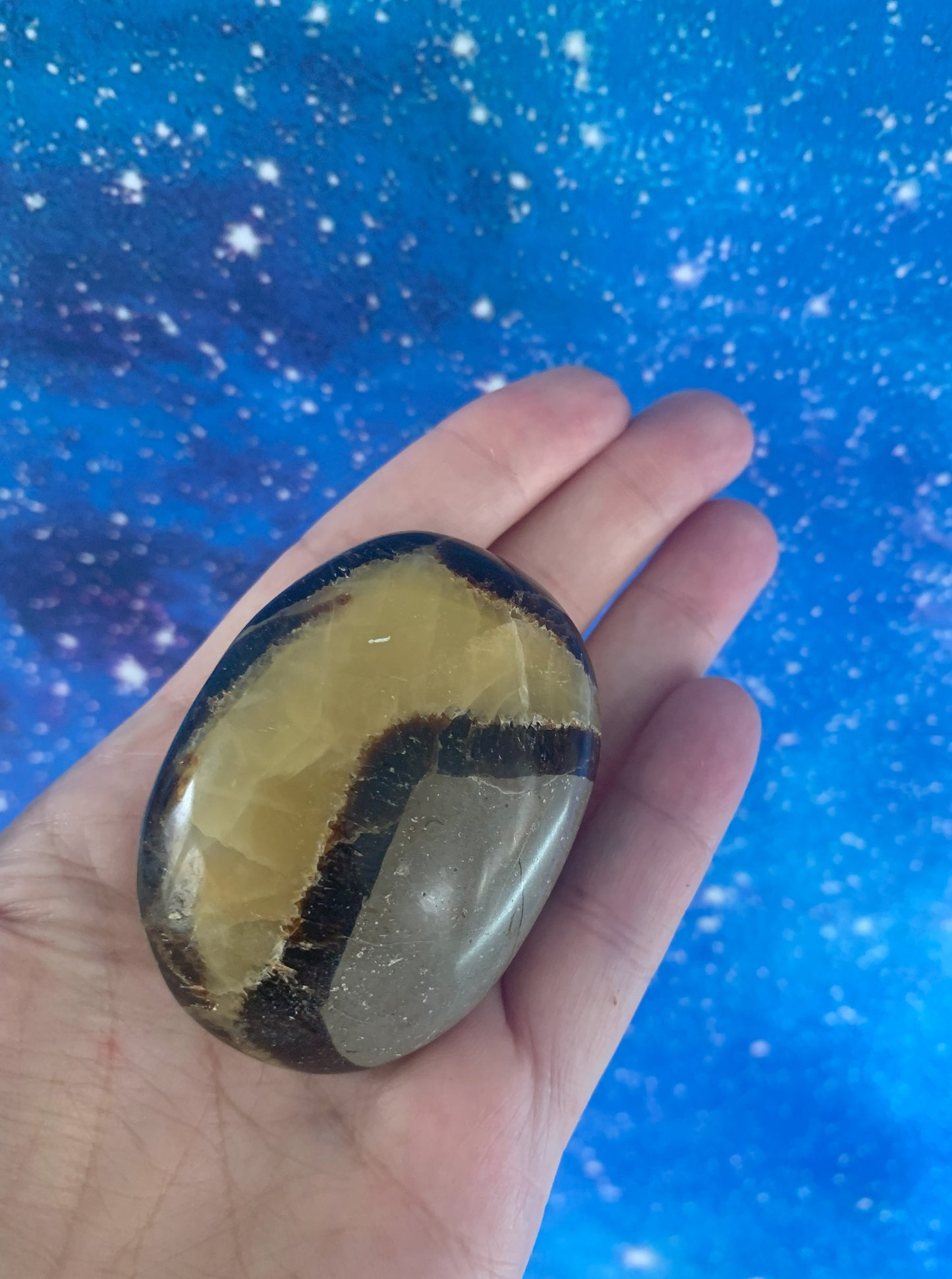 Septarian Palm Stones