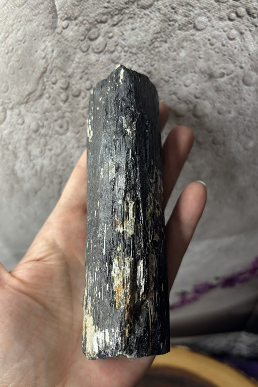 Natural Black Tourmaline with Muscovite