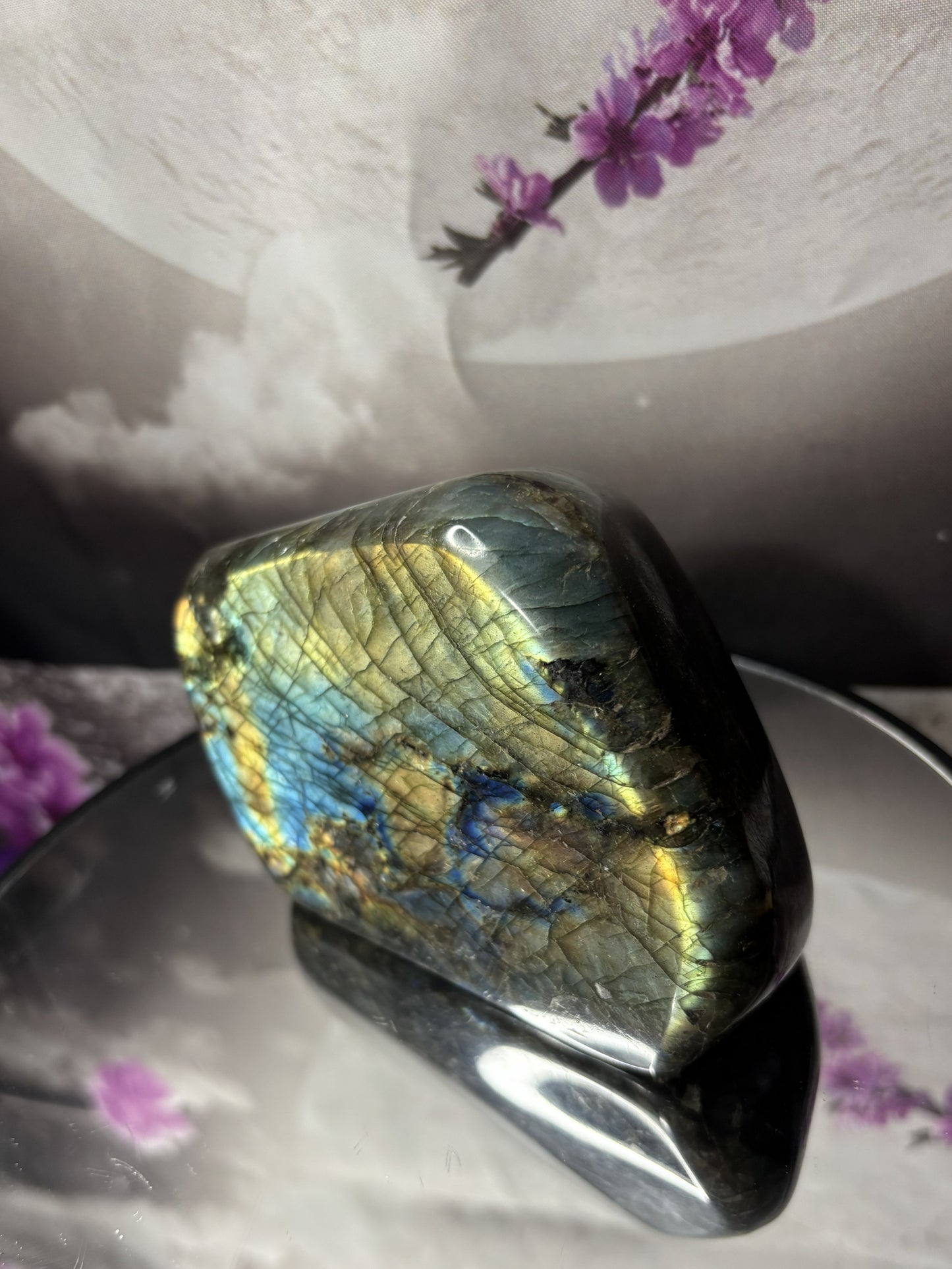 Labradorite Freeforms