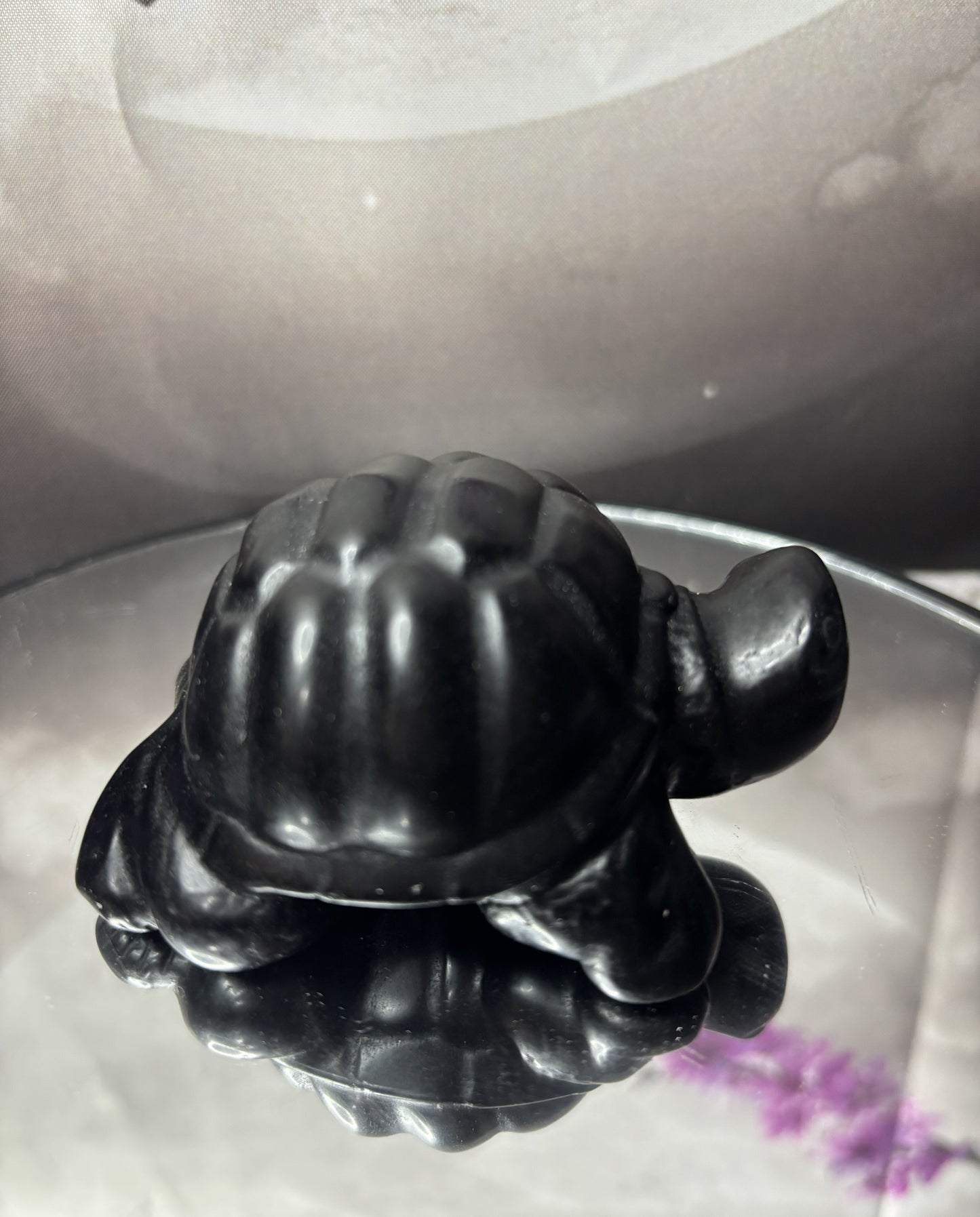 3' Turtles