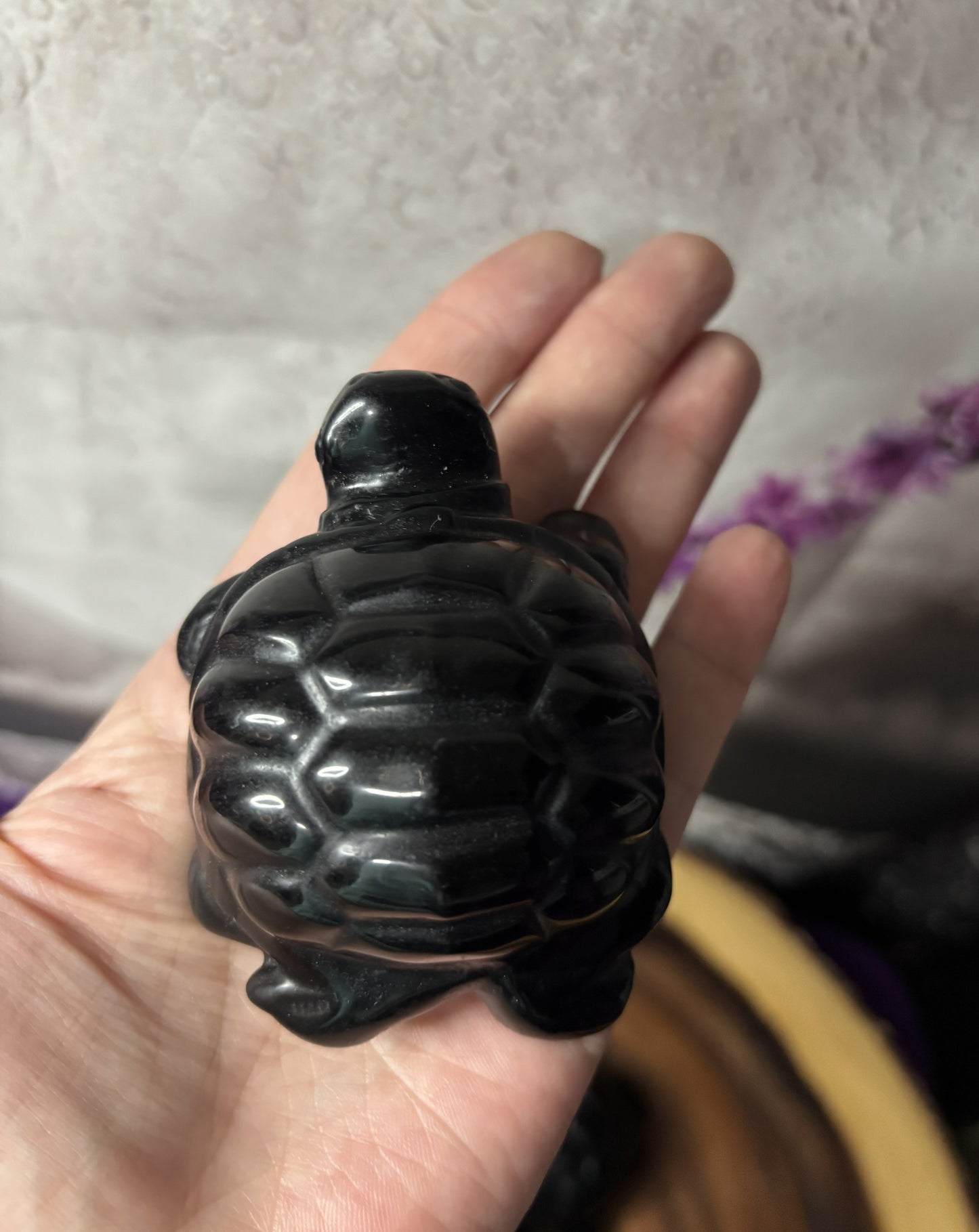 3' Turtles