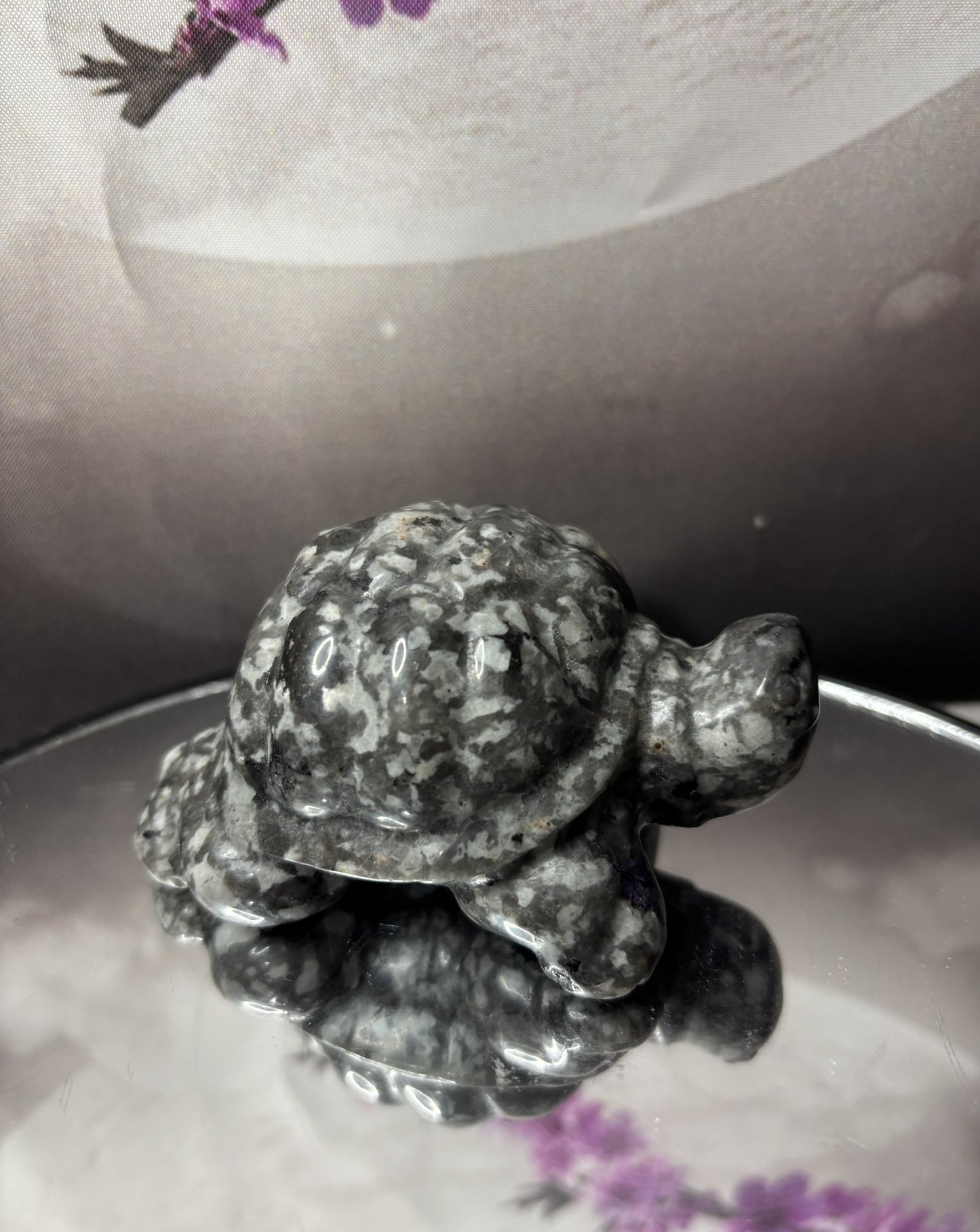 3' Turtles
