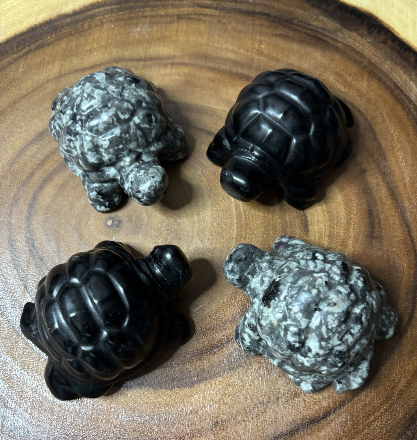 3' Turtles